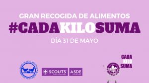 Lee más sobre el artículo Recogida de Alimentos – Scouts de Aragón